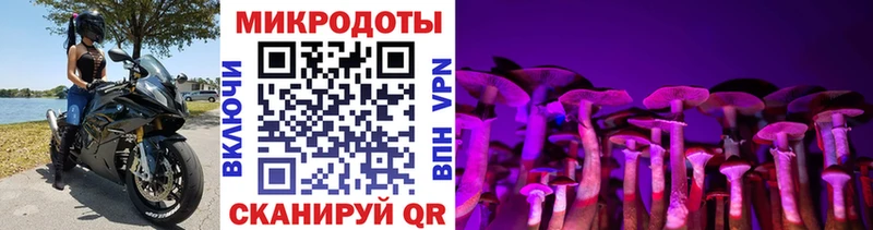 Галлюциногенные грибы прущие грибы Спасск-Рязанский